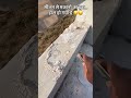 Even after applying damp block and Dampfix #painterlife #viral #youtube #tranding