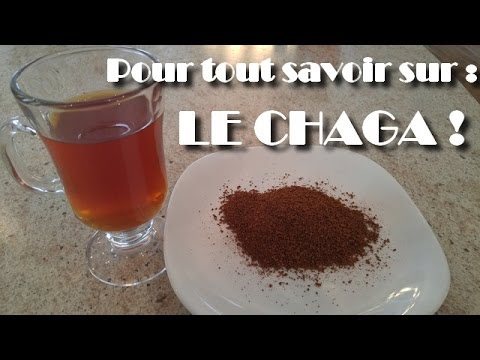 Vidéo: Chaga (champignon De Bouleau) - Propriétés Utiles Et Utilisation Du Chaga, Comment Infuser Le Chaga? Traitement Chaga Pour L'oncologie, Recettes, Teinture, Contre-indications