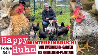 Wintereinbruch! Ein Rundgang von Zwerghühner bis Heidelbeer-Plantage - April Teil 2 HAPPY HUHN E331