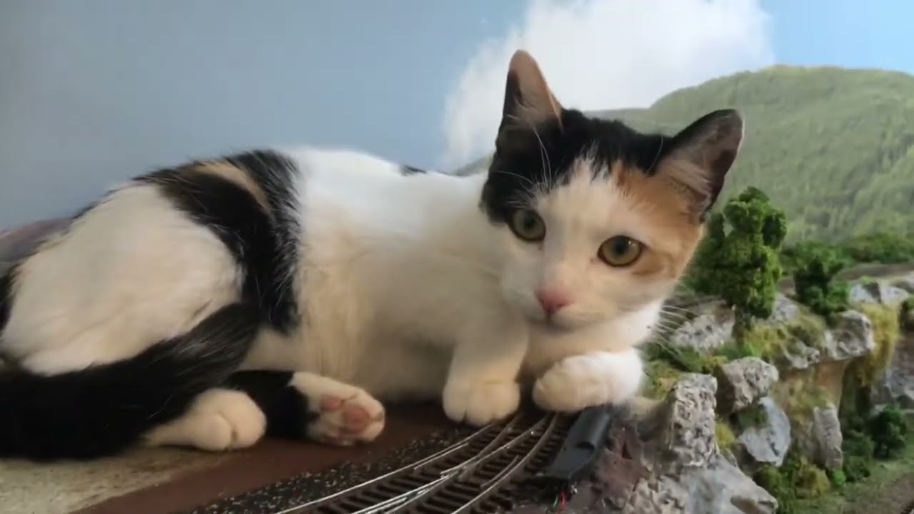 Liliput BR 05, BR 45, BR 62 Fahrvideo mit Hermine