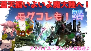 【FF14/Garuda鯖】モグコレもやるよ！蒼天のイシュガルドいよいよ魔大陸へ！　ストーリー配信o(^▽^)o新人Vtuberファイナルファンタジー14／FINALFANTASYXIV