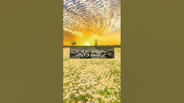#تلاوات #آيات #ارح_قلبك #راحة_نفسية #آيات_القرآن_الكريم #دعاء_مستجاب #دعاء #تلاوة_خاشعة