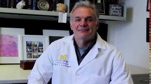 Presentation of the new U-M Adipose Tissue Core