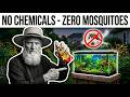 How to Get Rid of Mosquitoes Naturally Genius $80 DIY