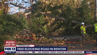 Power Outages, Trees Blocking Roads After Western Washington Storm | FOX 13 Seattle Power Outages, Trees Blocking Roads After Western Washington Storm | FOX 13 Seattle