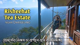 Risheehat Tea Garden ~ Darjeeling ↑ Travel Vlog #187 with Santanu Ganguly