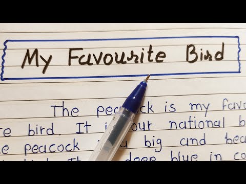 My Favourite Bird Parrot Essay In English 2022