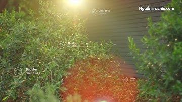 NHÀ NÔNG VÀ CÔNG NGHỆ: HỆ THỐNG TƯỚI THÔNG MINH ÁP DỤNG TRÍ TUỆ NHÂN TẠO