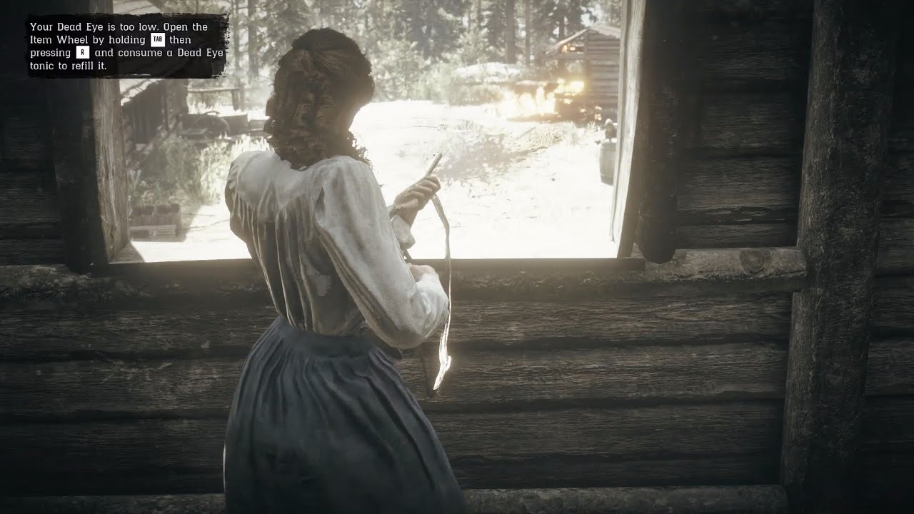[Let's Play] Red Dead Redemption 2 Ep114d - Homestead Raid (Ohne ...