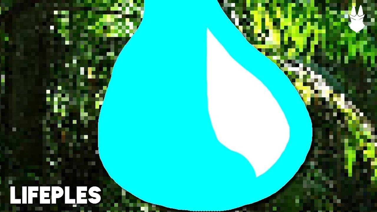 Lifeples - Wrongsome