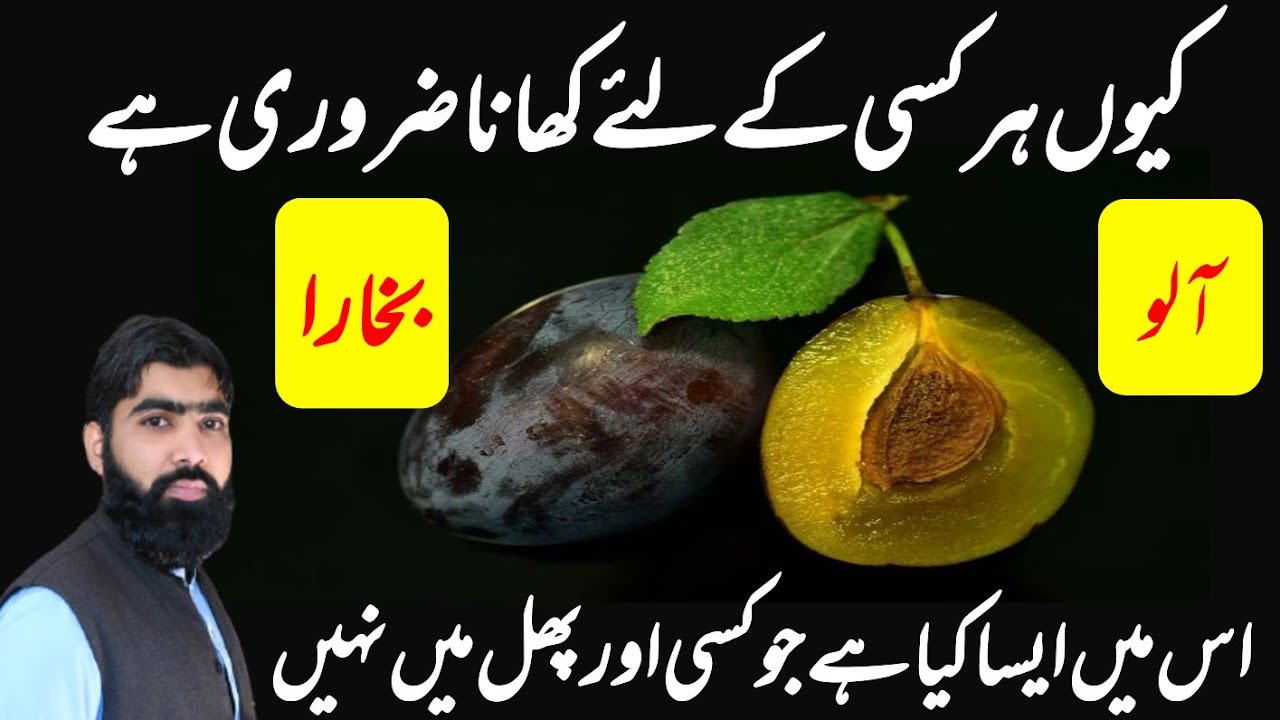 Amazing health benefits of plum fruit Aalo bukhara ke fayde آلوبخارا کے فوائد گرمی کا توڑ