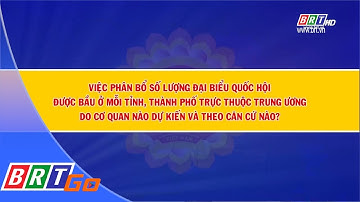 Hỏi đáp về bầu cử đại biểu Quốc hội khóa XV và đại biểu HĐND các cấp nhiệm kỳ 2021- 2026 (Kỳ 2)