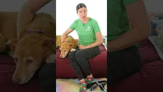 Join Me April 7 @ 10am Eastern for Knee Pain Stretches LIVE!