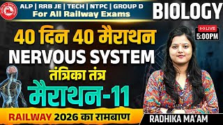 Railway Exams 2026 Biology | Nervous System (तंत्रिका तंत्र) | 40 Din 40 Marathon 11 | Radhika Ma’am