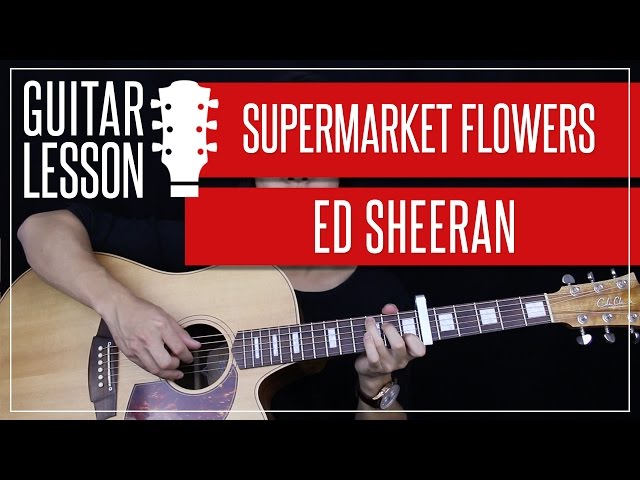 Supermarket Flowers Guitar Tutorial