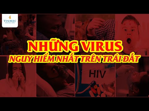 Video: Ebola - con chó của bạn có nguy cơ không?