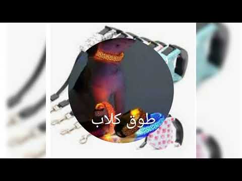 مستلزمات كلاب ولا تنسوا الاشتراك في القناه ليصلكم كل جديد