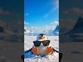 Penguin Thought He Was Cool 😭 #shorts #penguin #funny #comedy #animation #chaoszoo #fail