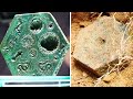 The 10 Most Amazing Artifact Discoveries of Recent Times!