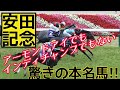 安田記念　2020　全頭解説