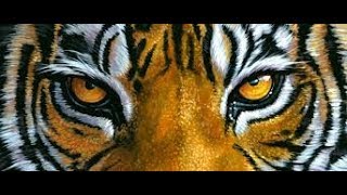 تحميل اللعبة الشيقه THE TIGER مهكرة للاندرويد// اخر اصدار// نقووووود لا تنتهى screenshot 5