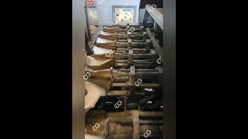 Cone Production Line for Suagr Cone and Waffle Cone