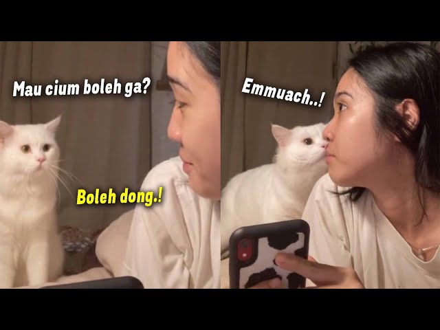 So Sweet.😍.! Lihatlah Ekspresi Gemas Kucing Ini Saat Ingin Cium Majikannya, Bikin Meleleh Ga Sih 😍? class=