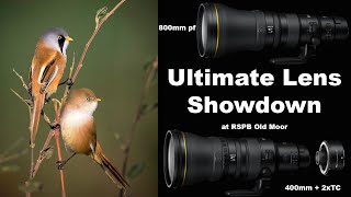 Ultimate Lens Showdown at RSPB Old Moor