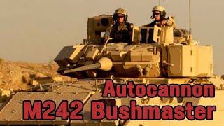 Американская пушка M242 Bushmaster || Обзор