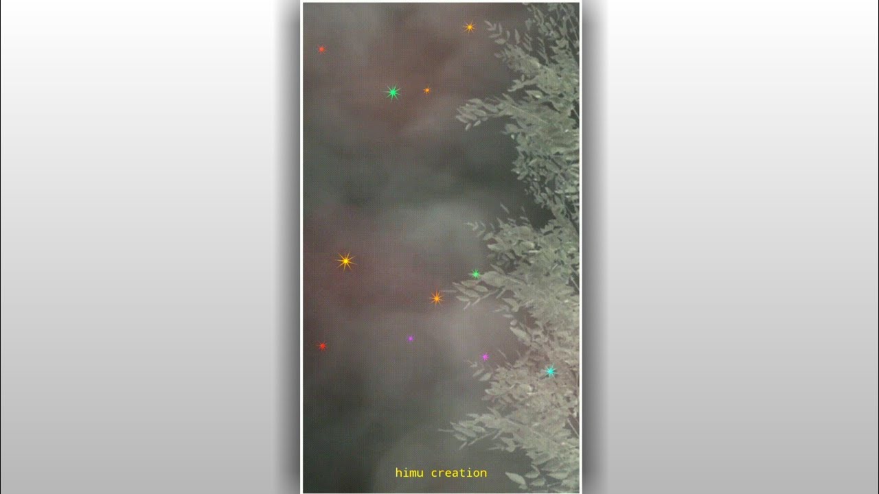 tree leaf affect avee player template|black screen template|green screen template|shorts video templ