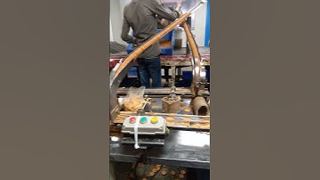 orange flavored sandwich biscuit 4, 2023 short video