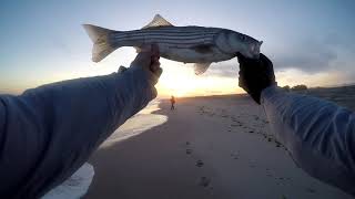 Fall Run Surf Fishing