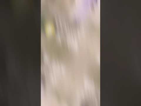 تصميم سعب يام قدامك يامي