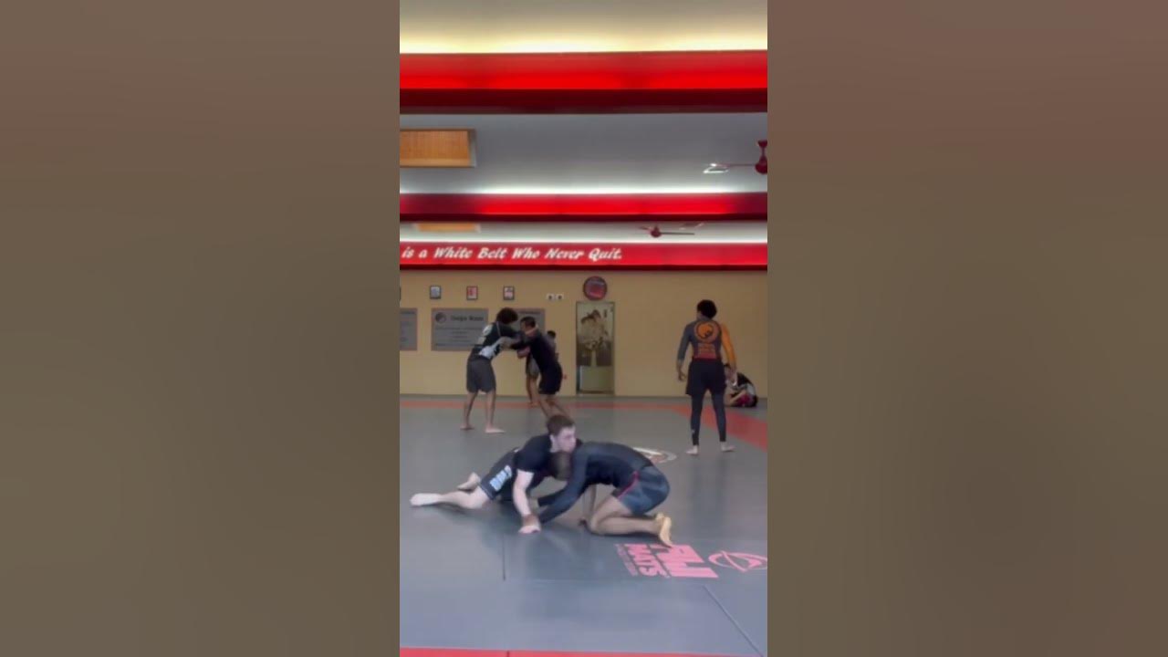 Failed single leg transition to an arm drag ☝️ wrestling bjj YouTube