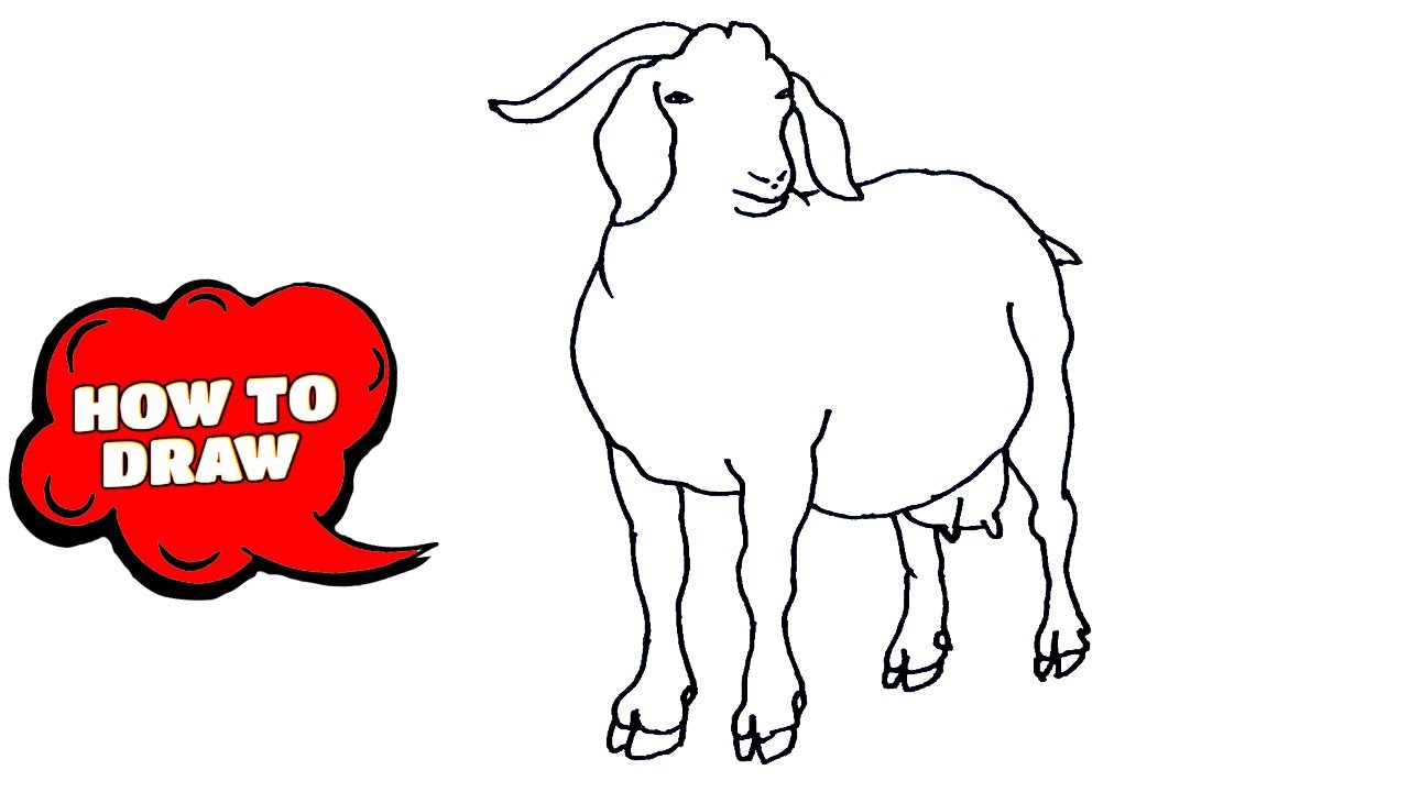 Angora Goat Stock Illustrations – 109 Angora Goat Stock Illustrations,  Vectors & Clipart - Dreamstime