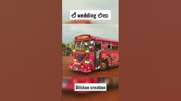 දම් රැජිණි එක්ක වෙඩින් එකක් ගමුද ? | Dham rejini Wedding #sl #viral #wedding #shorts