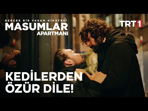 Kedilerin Mama Kabına