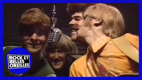 Le Feu Sauvage de l'Amour : Rock et Belles Oreilles (RBO)
