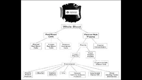Blood Transfusion Therapy - Packed RBCs, Platelets, Fresh Frozen Plasma & Cryoprecipitate
