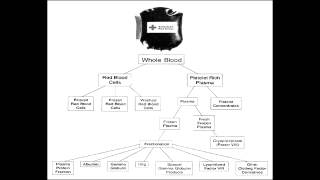 Download lagu Blood Transfusion Therapy Packed RBCs Platelets Fresh Frozen Plasma Cryoprecipitate Blood Transfusion Therapy Packed RBCs Platelets Fresh Frozen Plasma Cryoprecipitate