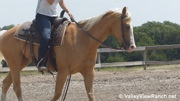 Cue Te Freckles - riding in outdoor arena #3 - ValleyViewRanch.net