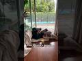 Enjoying the rain…til the kids get bored and ruin the zen. #rain #peace #relatable #mentalhealth