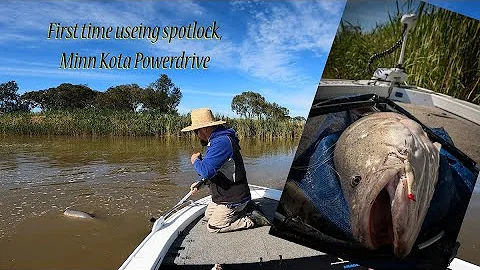First time using Minn Kota spot lock = 107cm Murra...