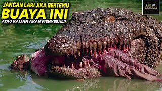 100x LEBIH BESAR, BUAYA MONSTER HASIL PENELITIAN GAGAL - Alur Film Aligator Berdarah (2019)