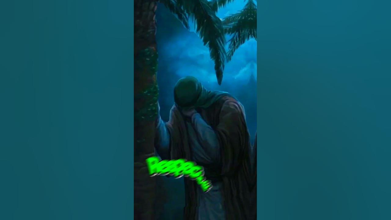 What Islam Teaches Us religion islamicvideo islamicshorts YouTube what-islam-teaches-us-religion-islamicvideo-islamicshorts-youtube