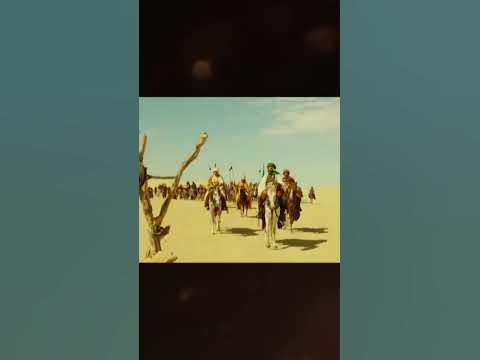 Валаамова ослица#3 | Духовный словарь #shorts - YouTube