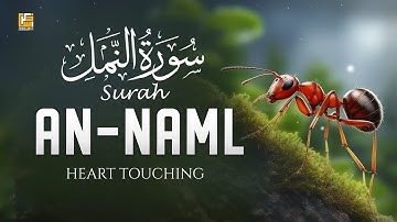 Surah An-Naml (سورة النمل) Ayat 50-54 | by islam Sobhi | القارئ اسلام صبحي @TrueIslamVibe