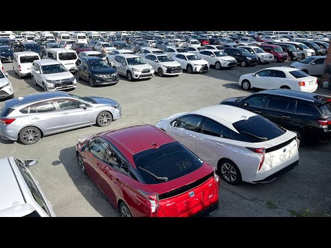 Авторынок Зелёный Угол ПУСТОЙ?. ЦЕНЫ. Сентябрь 2023