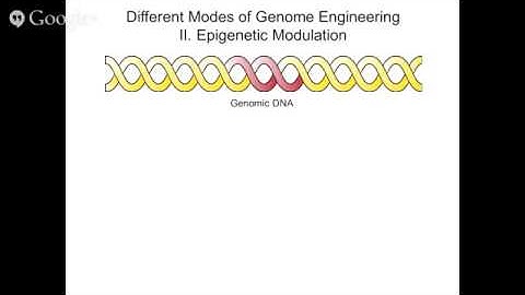 Genome Engineering - Basic Principles