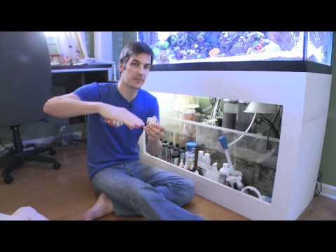 Mr. Saltwater Tank TV Friday AM Quick Tip #2 : Check This Piece When Cleaning Your Protein Skimmer